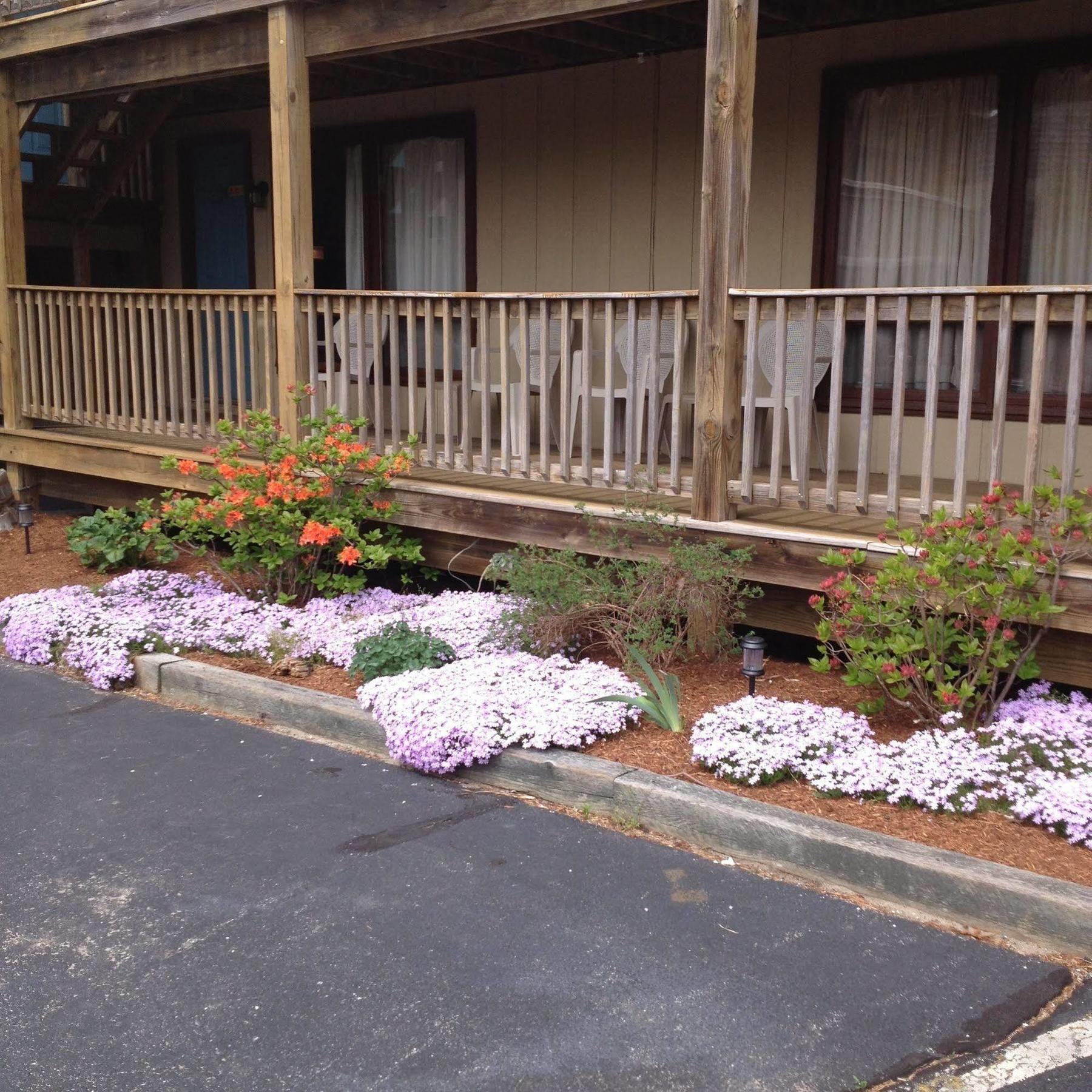 Endless Coast, A Boutique Hotel Wellfleet Exterior foto